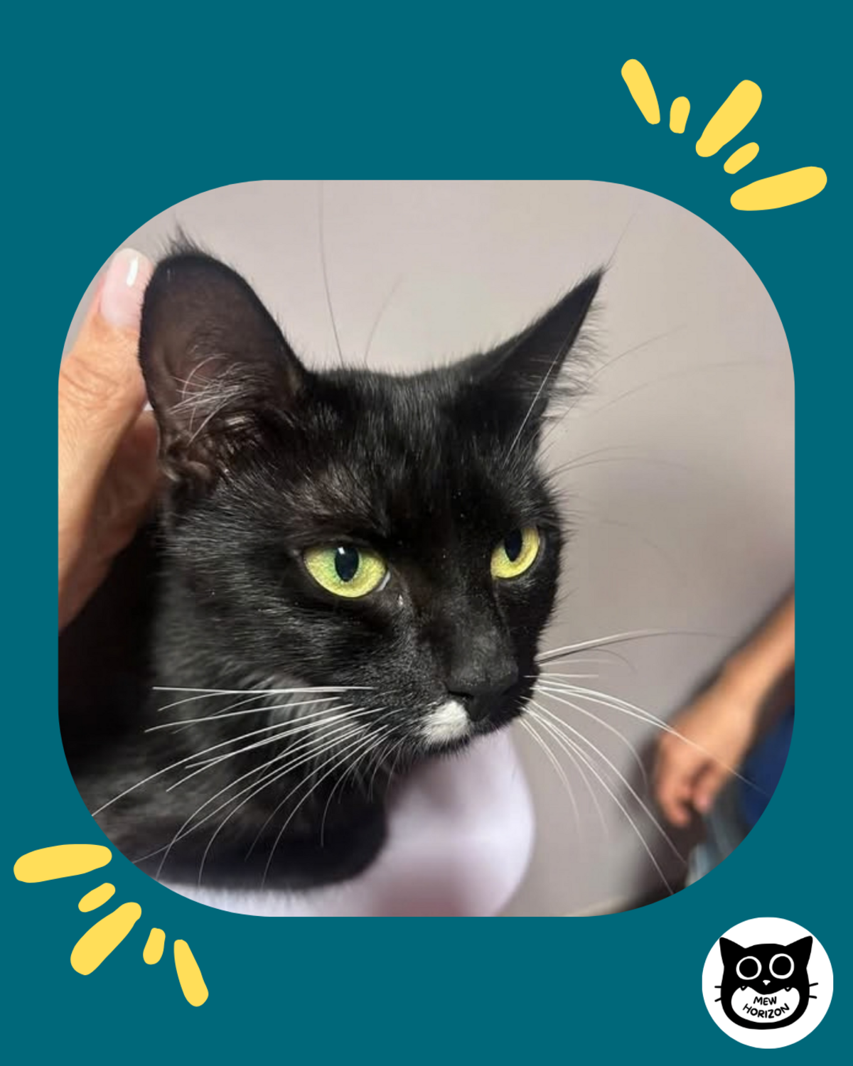 Adoption Aëline