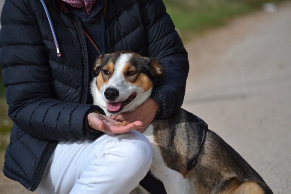 Adoption Mia