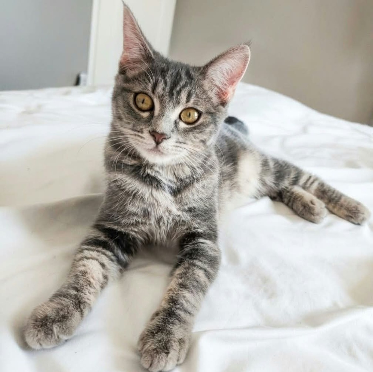 Adoption Shiva