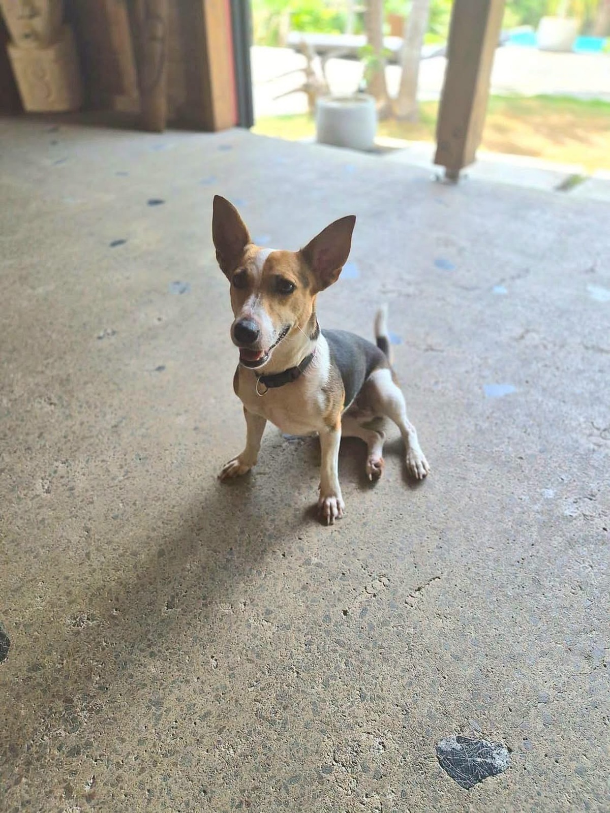 Adoption Mozaik