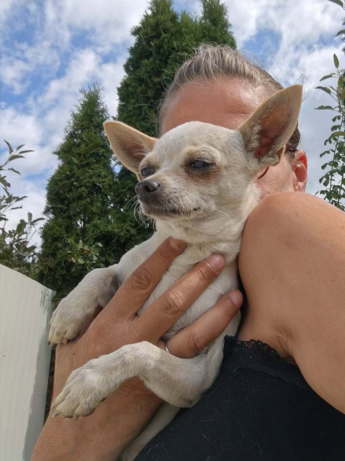 Adoption Lolita