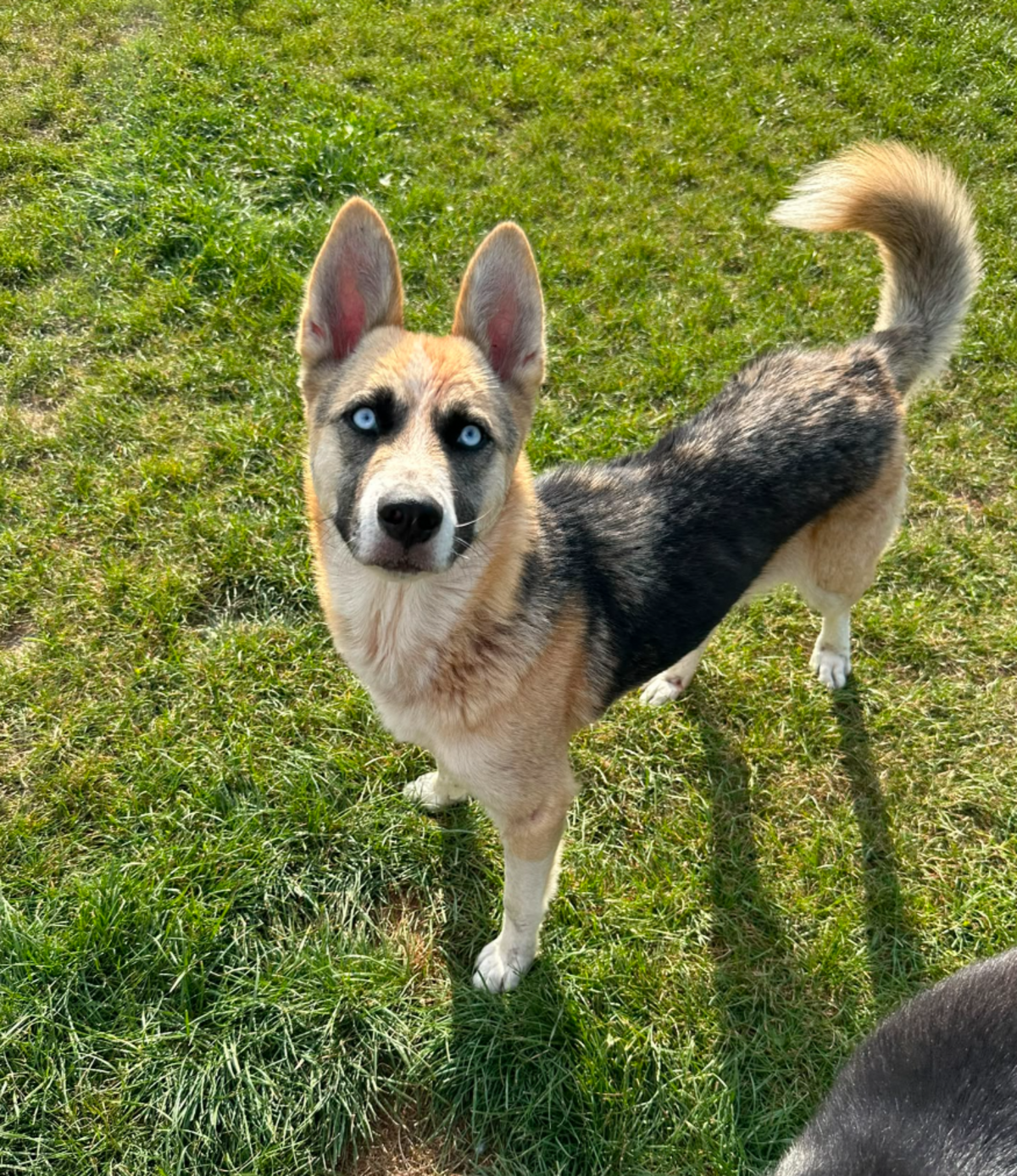 Adoption Zina