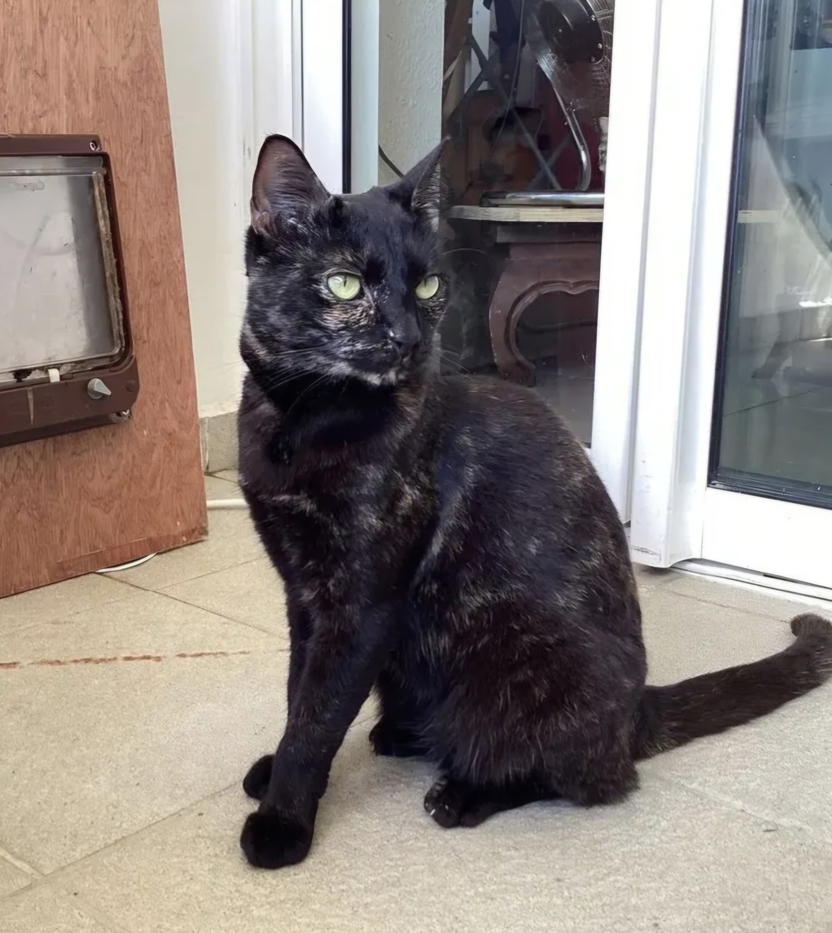 Adoption Asträlya 