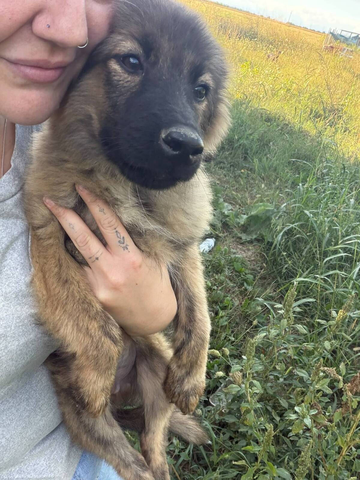 Adoption Micky
