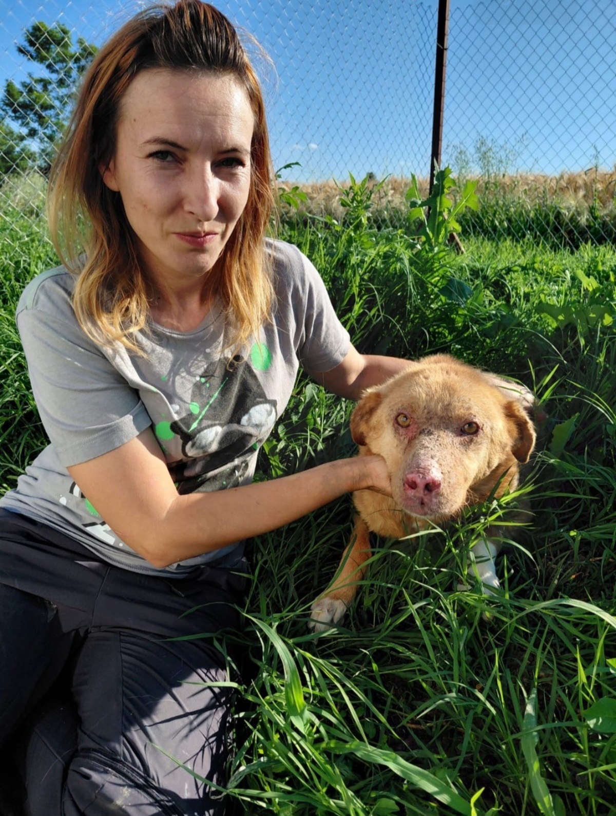 Adoption Alison