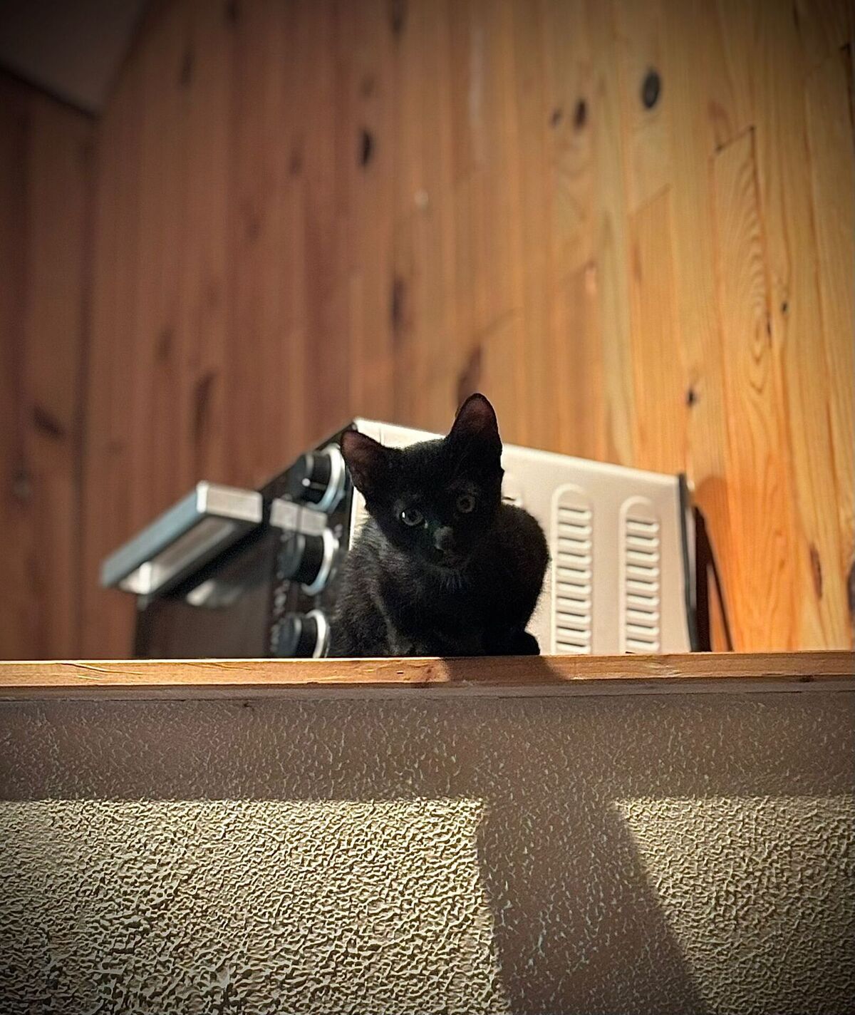 Adoption Aria