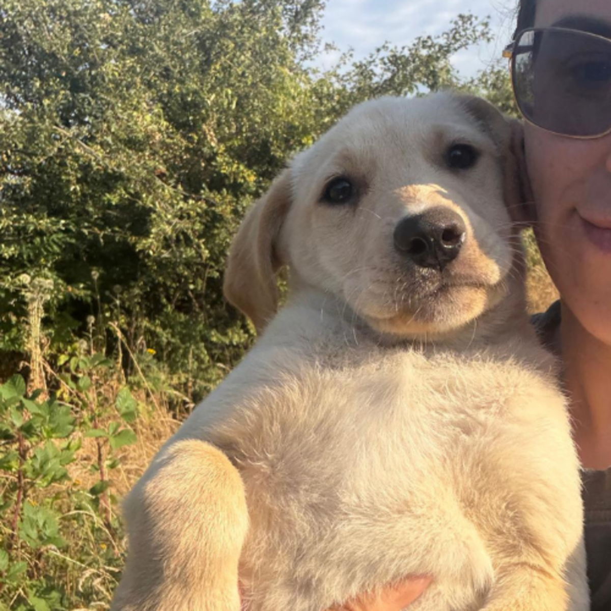 Adoption MACELA