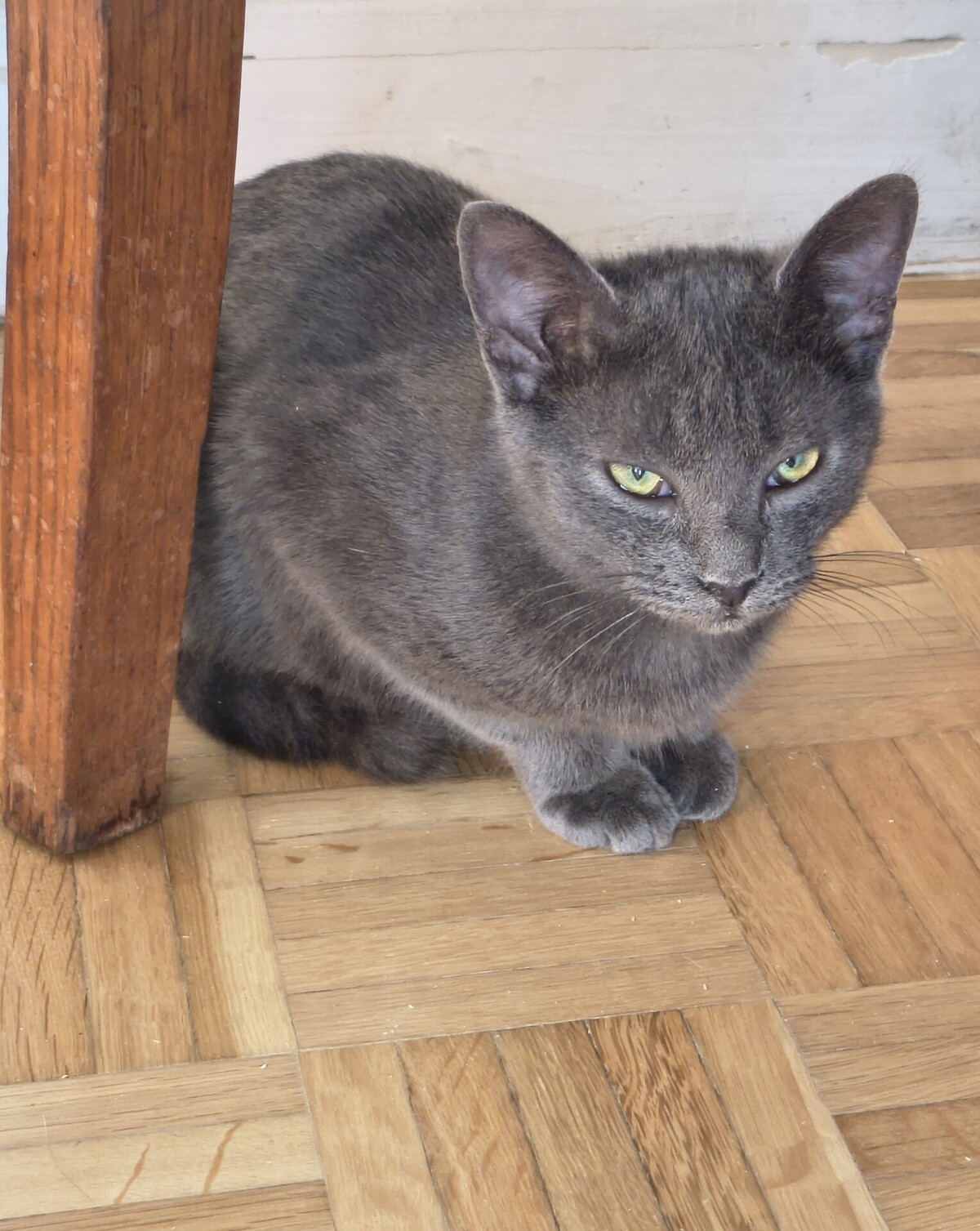 Adoption Val