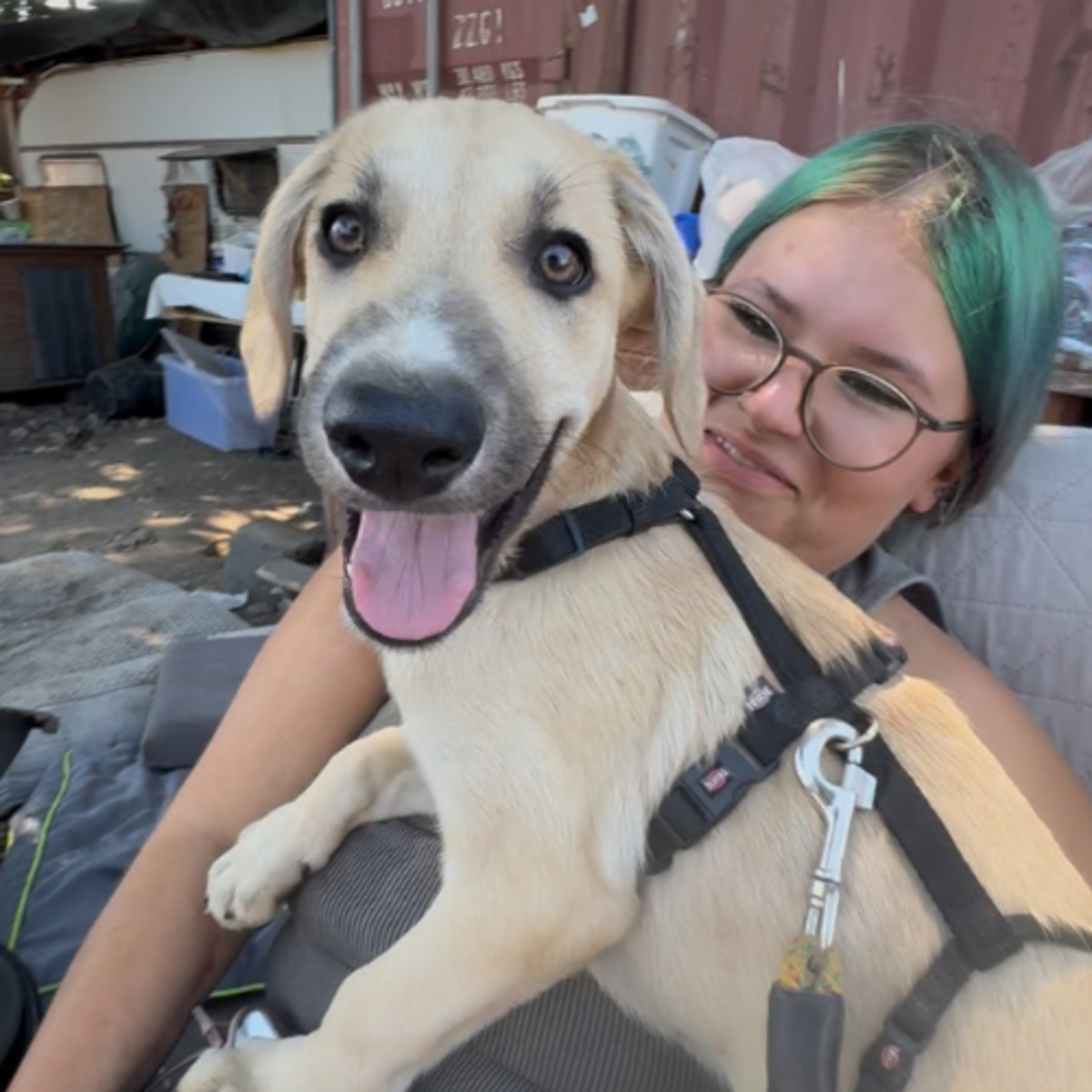 Adoption MANO