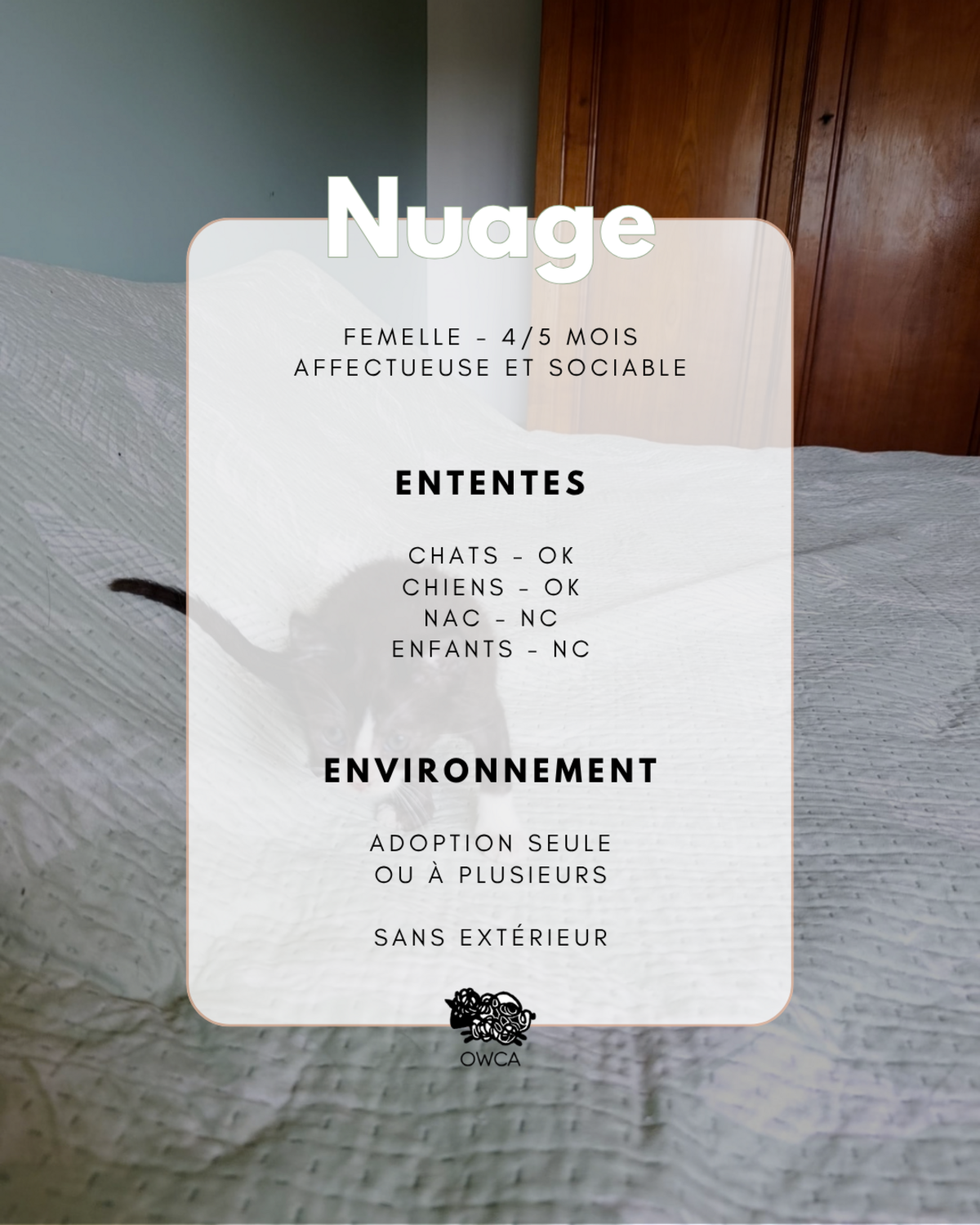 Adoption Nuage