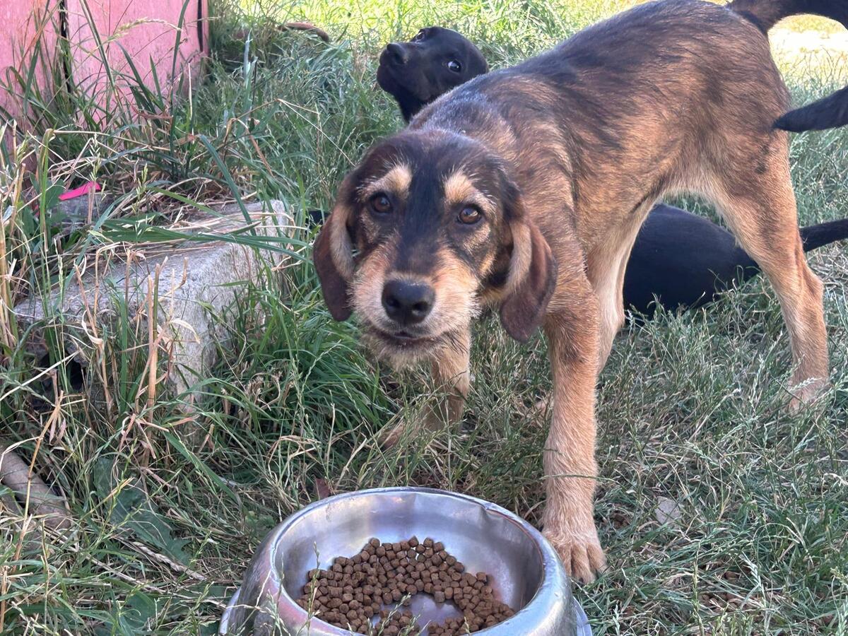 Adoption Marla