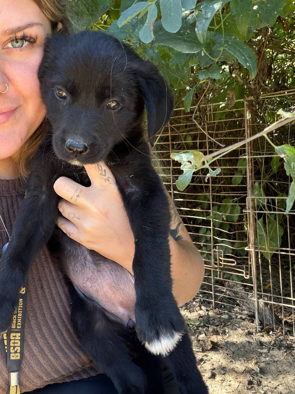 Adoption Maddy