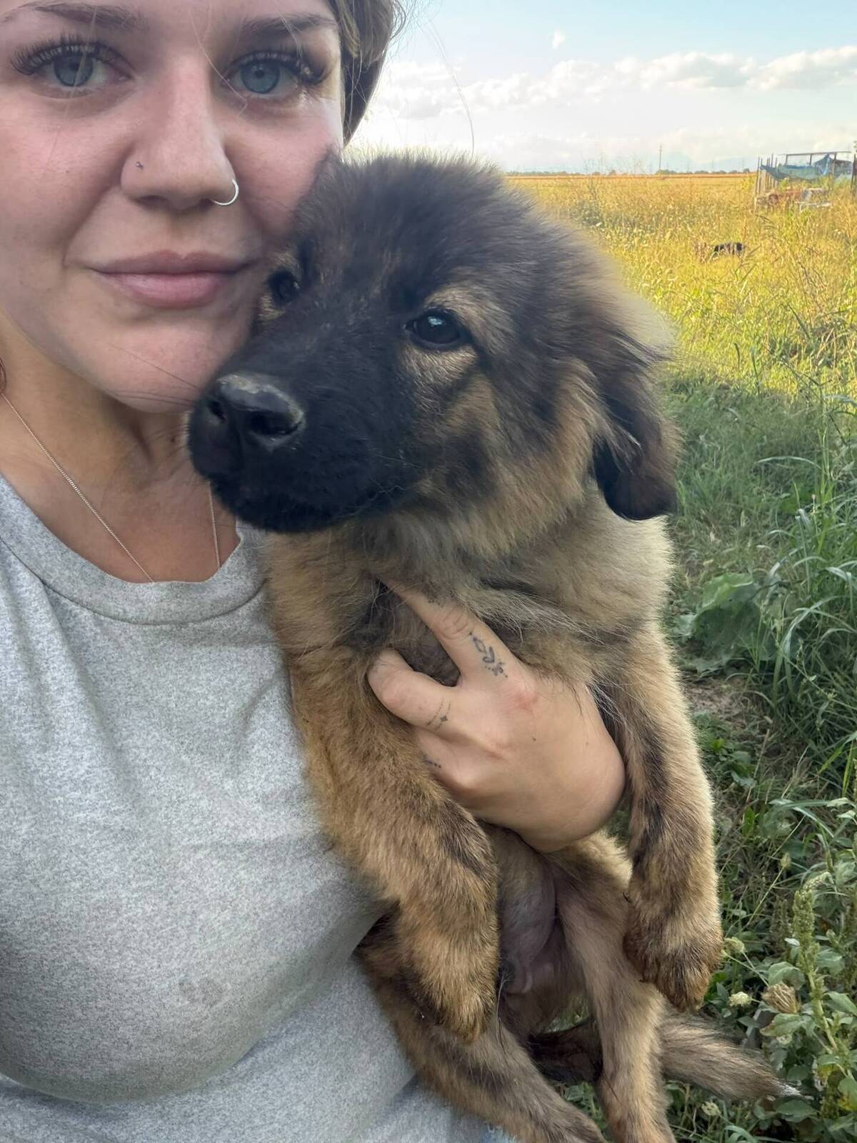 Adoption Micky