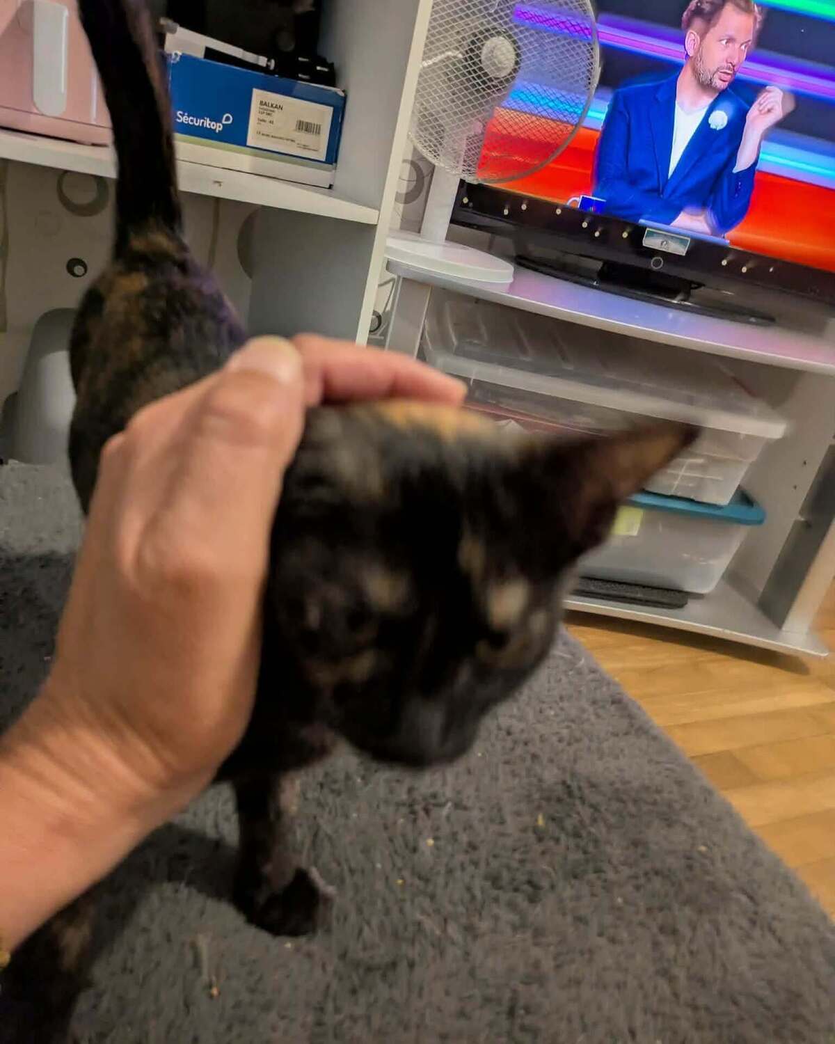 Adoption BOOP