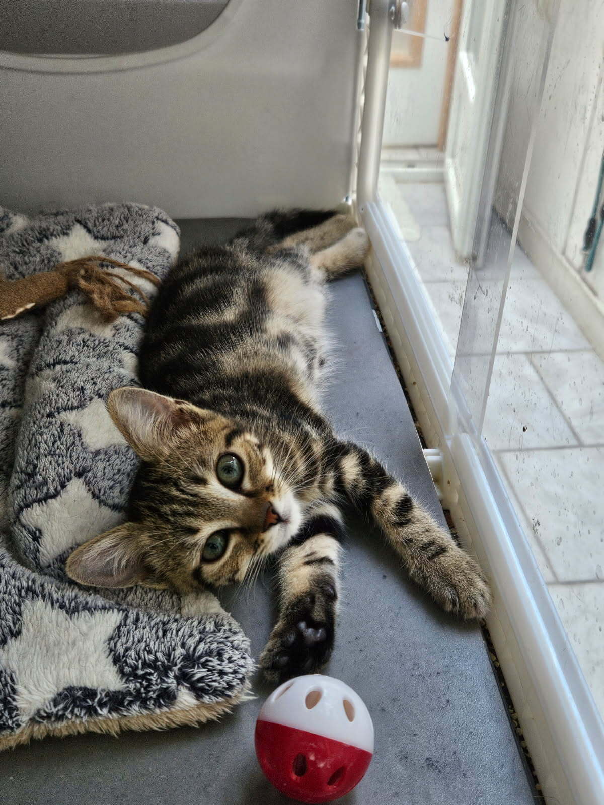 Adoption MOKA