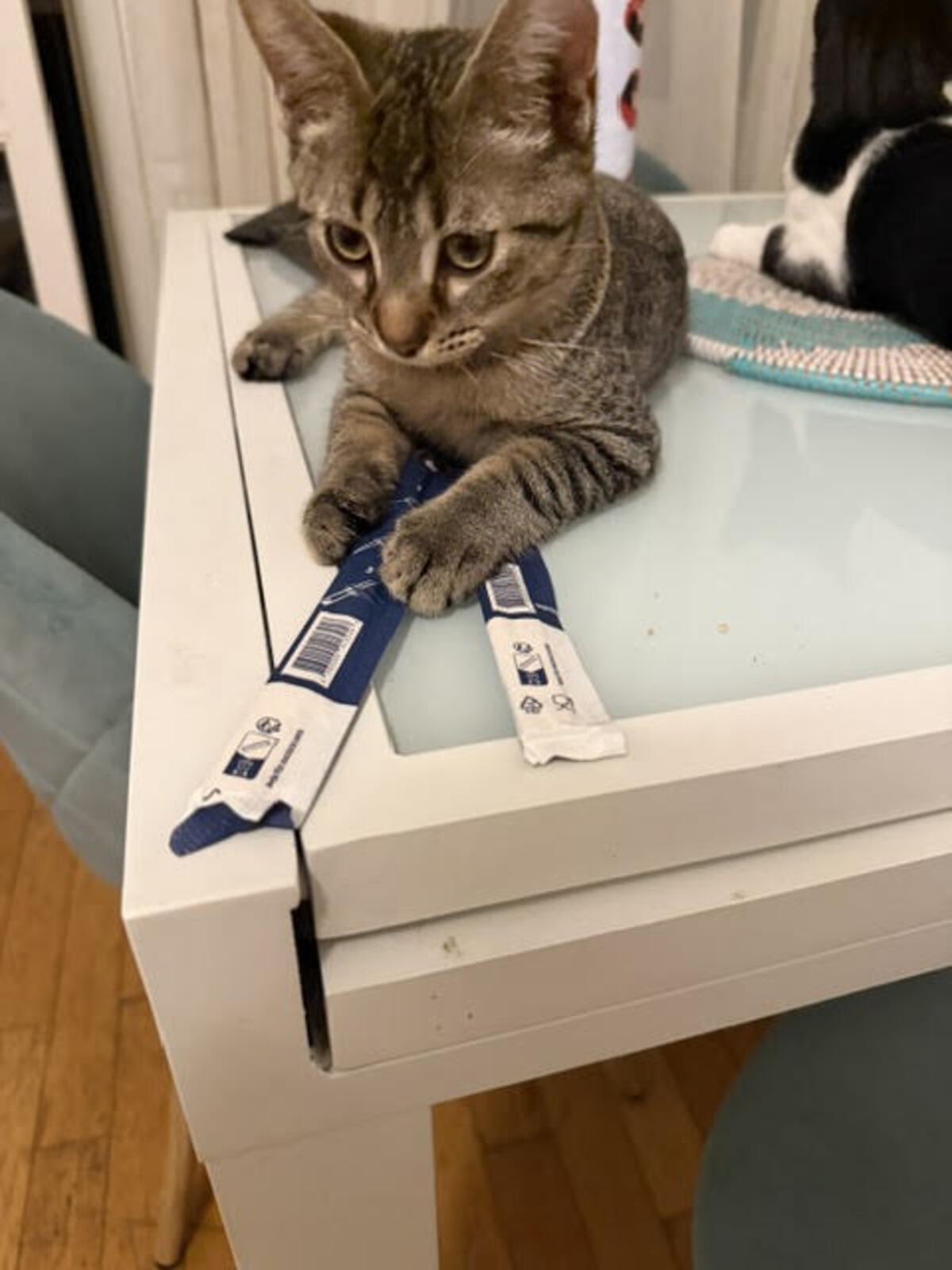 Adoption Boomer