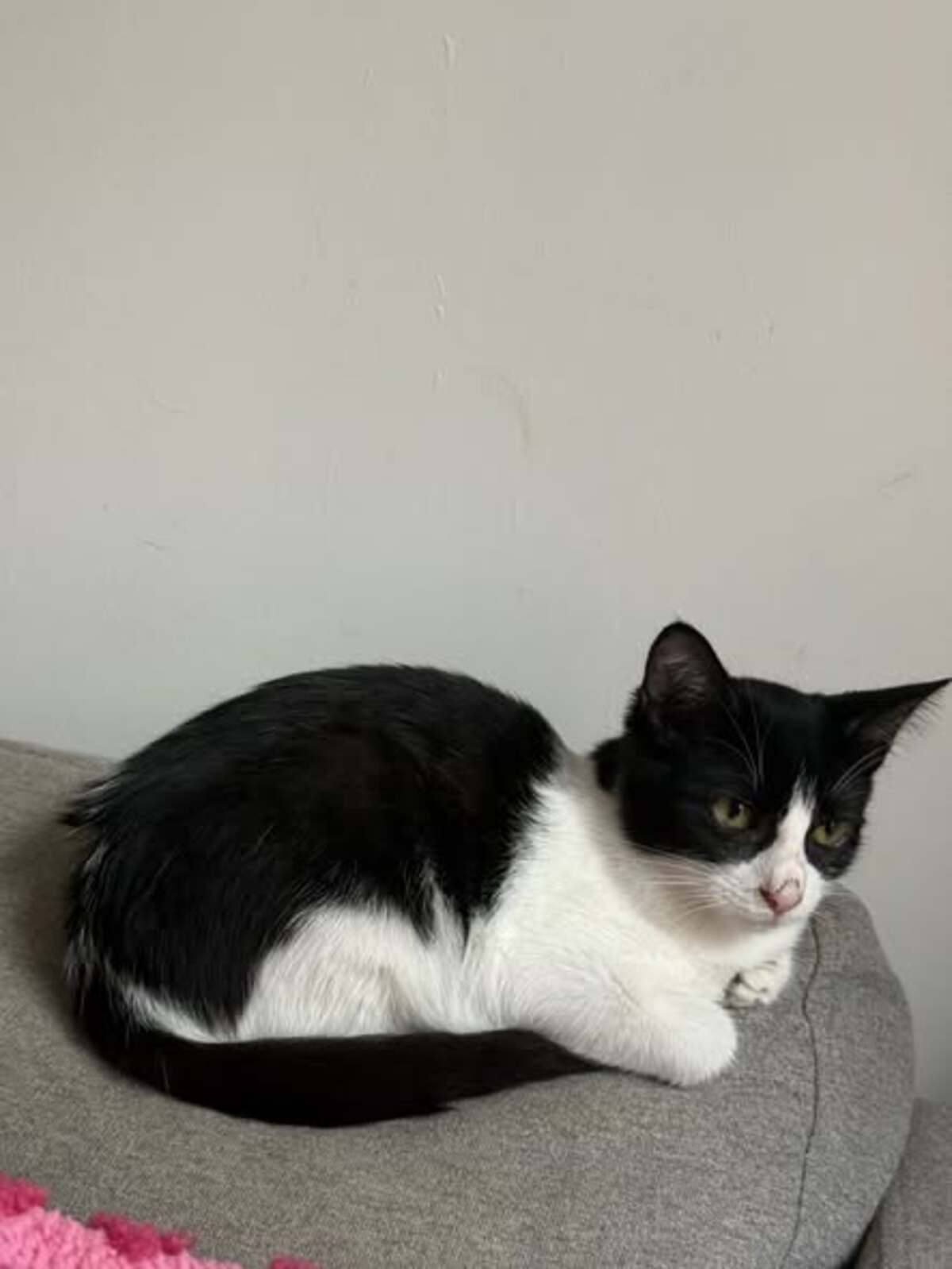 Adoption Belinda