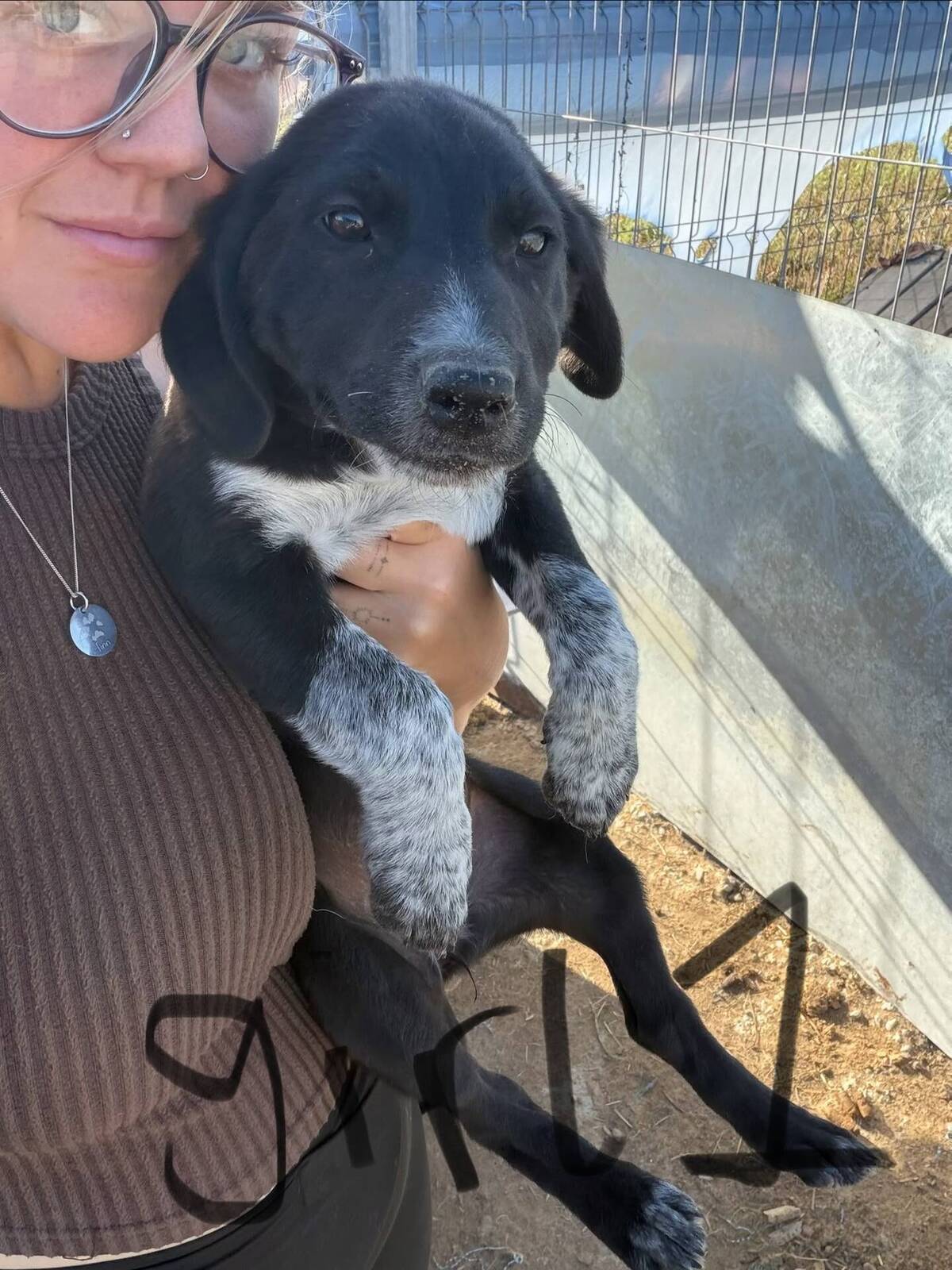 Adoption Honey