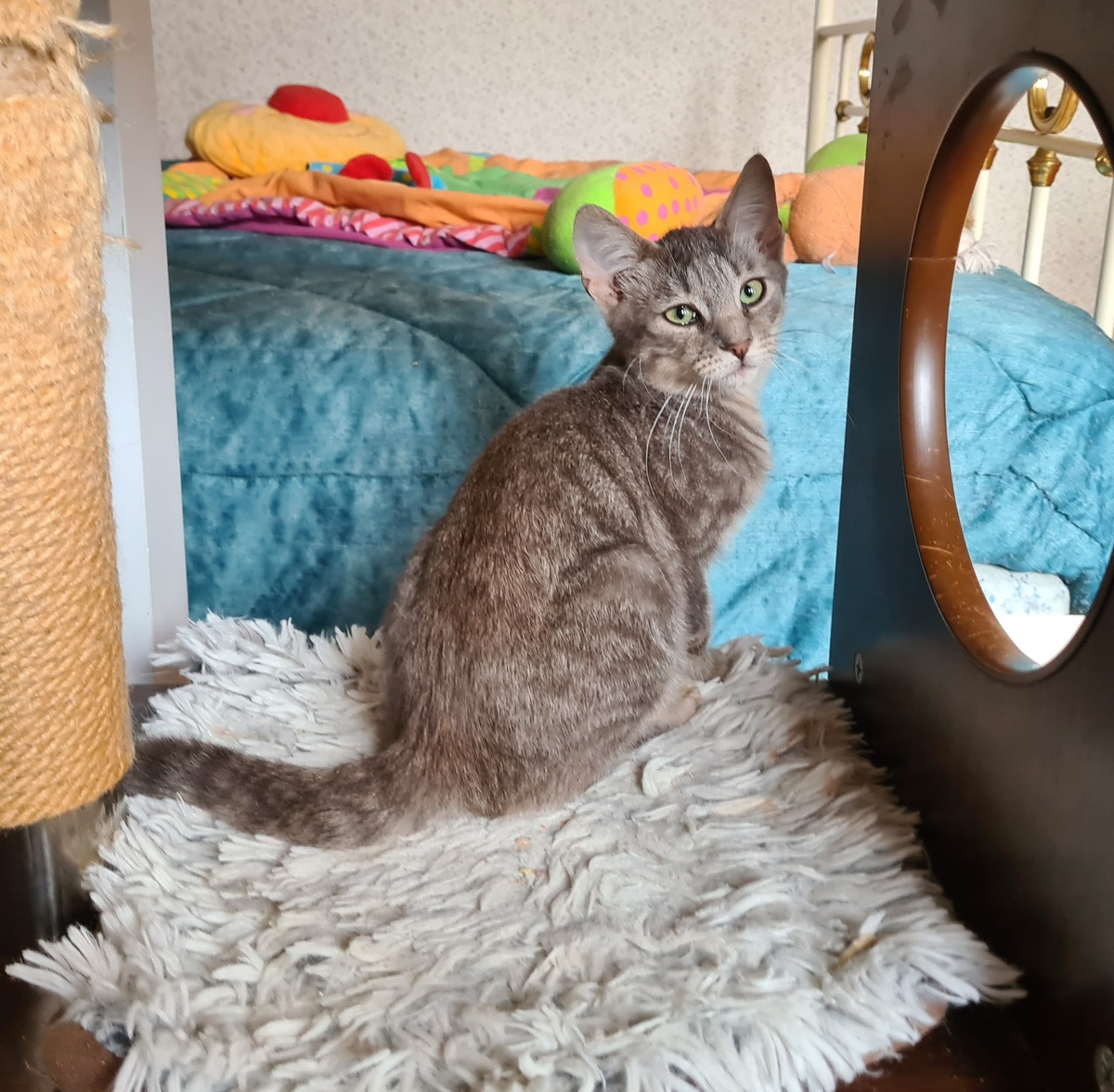Adoption Rusty