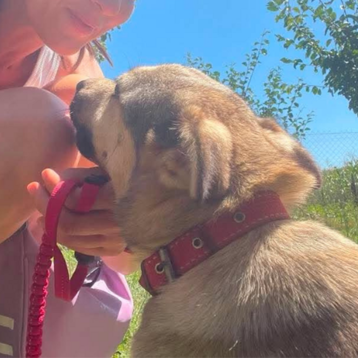 Adoption Nelly