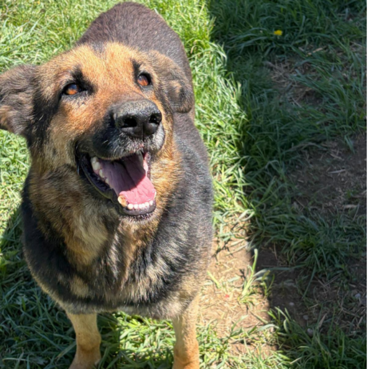 Adoption JANA