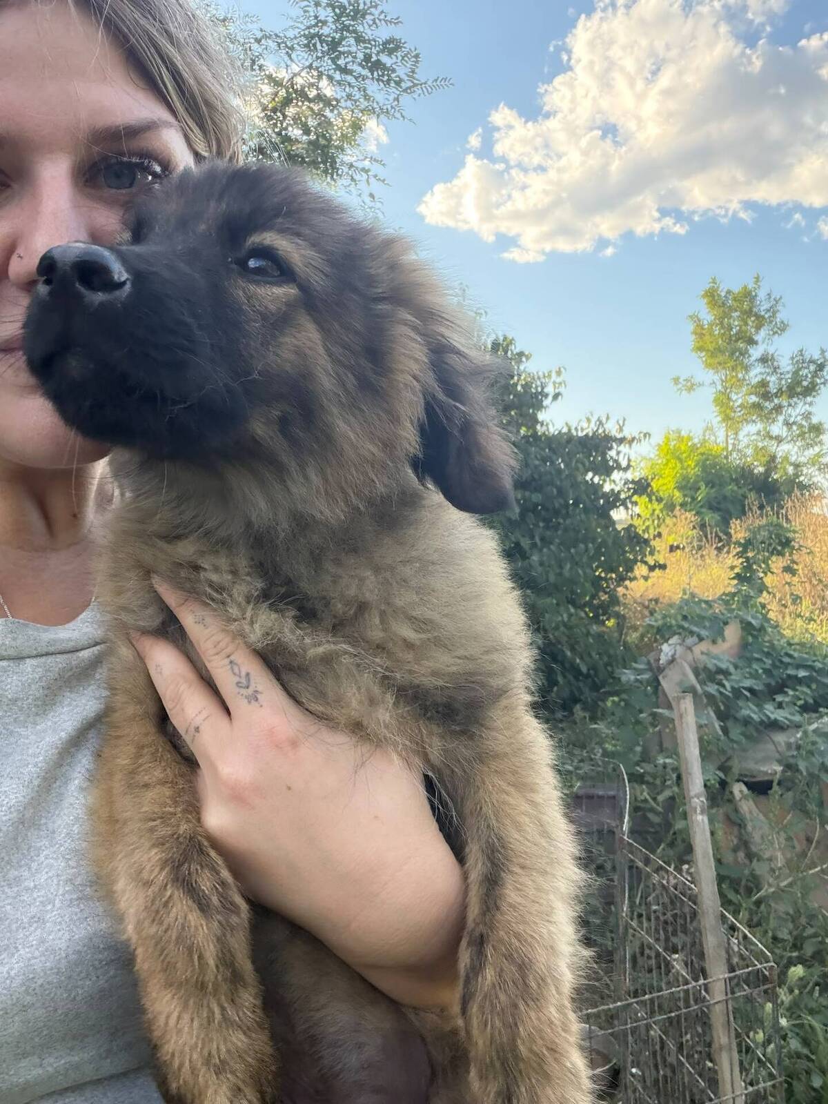 Adoption Micky