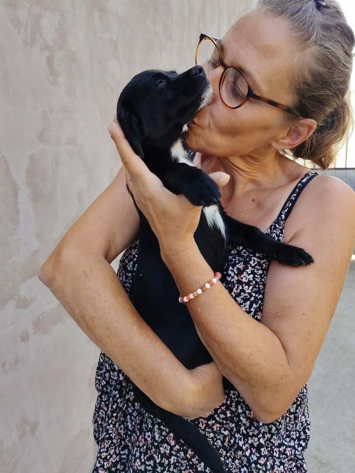 Adoption Oreo