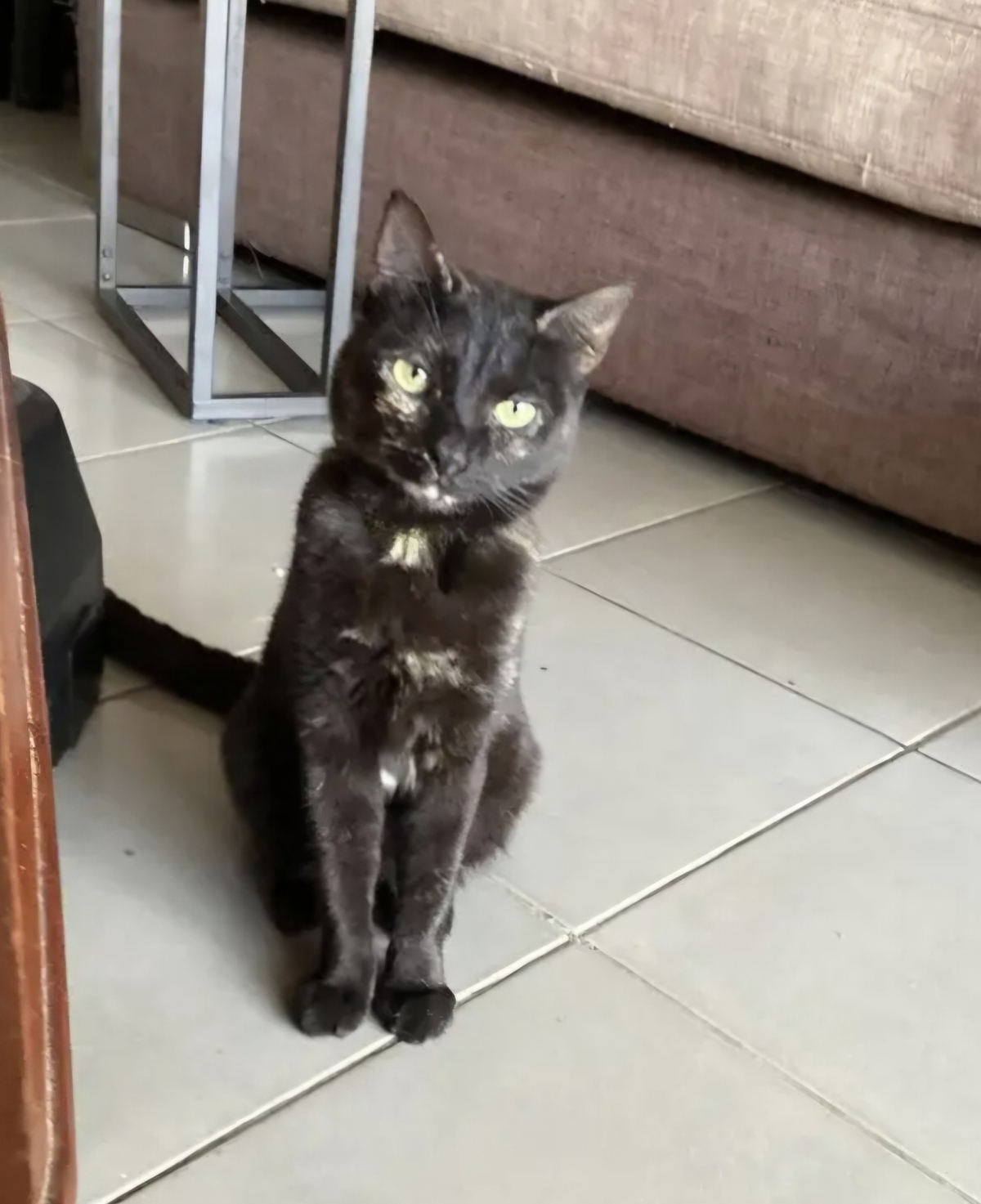Adoption Asträlya 