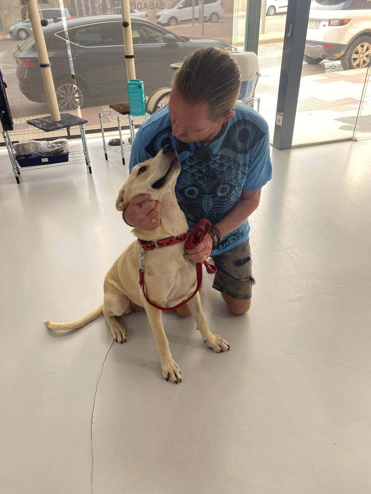 Adoption Elsie