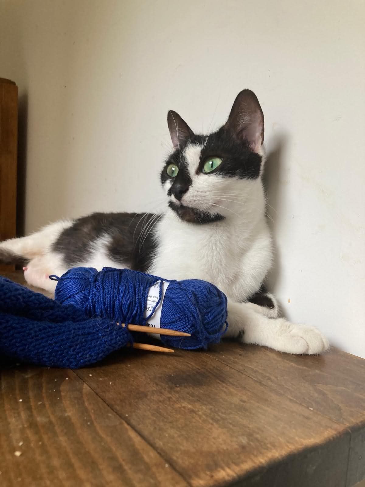 Adoption Juliette