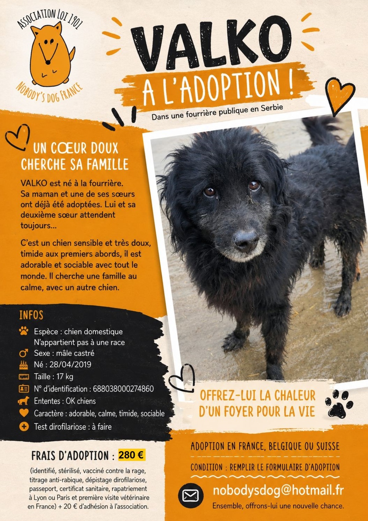 Adoption Valko