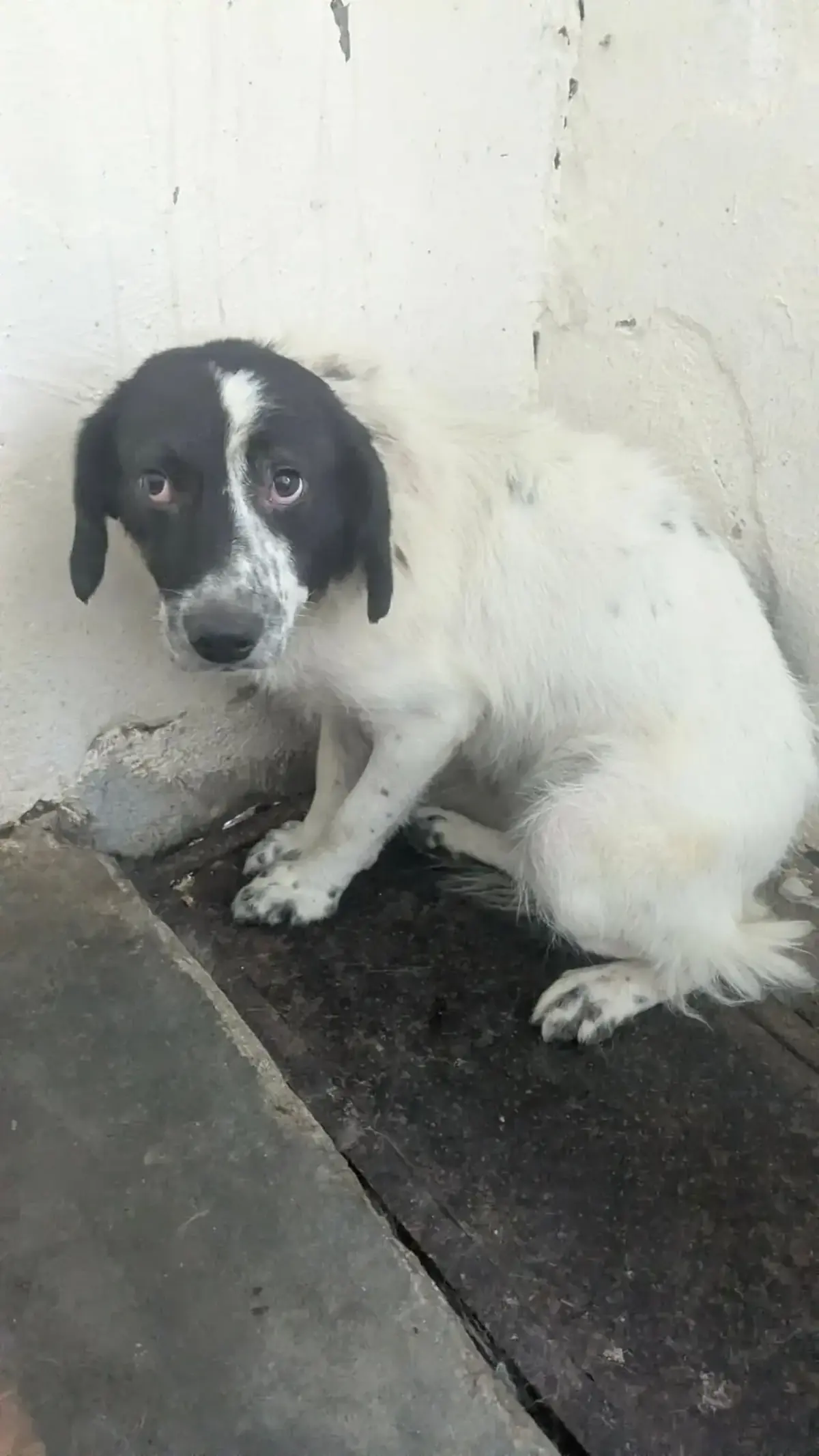 Adoption Lucia