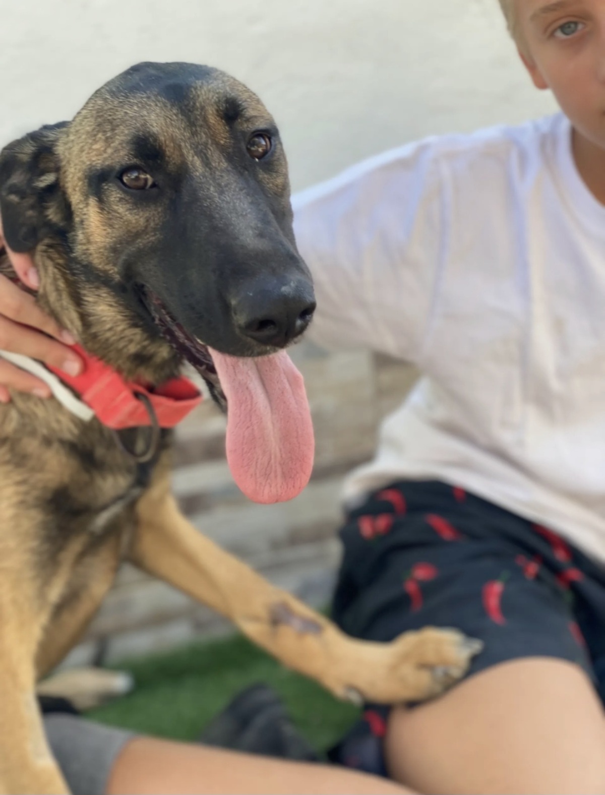 Adoption Beatriz