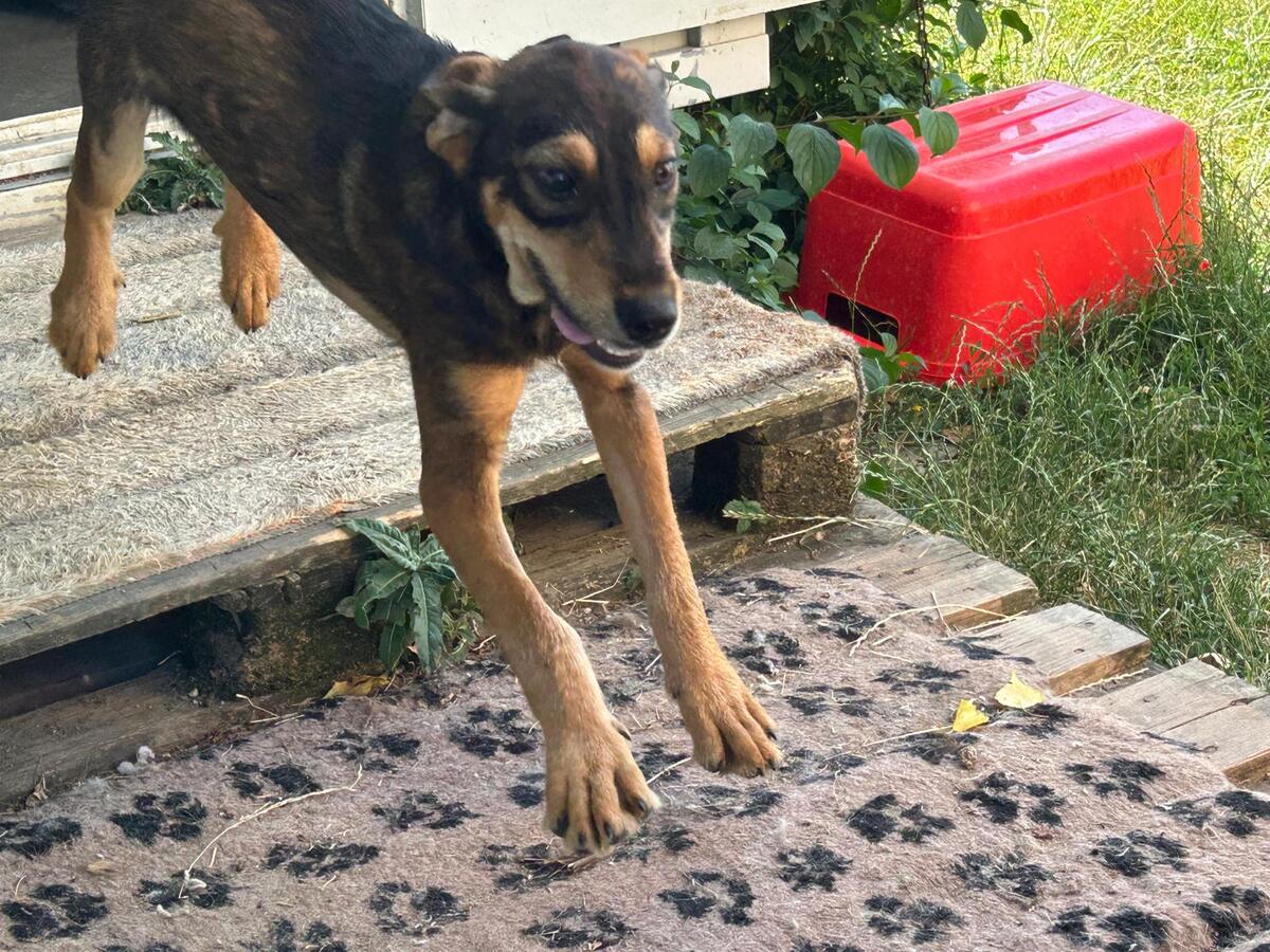 Adoption Marla