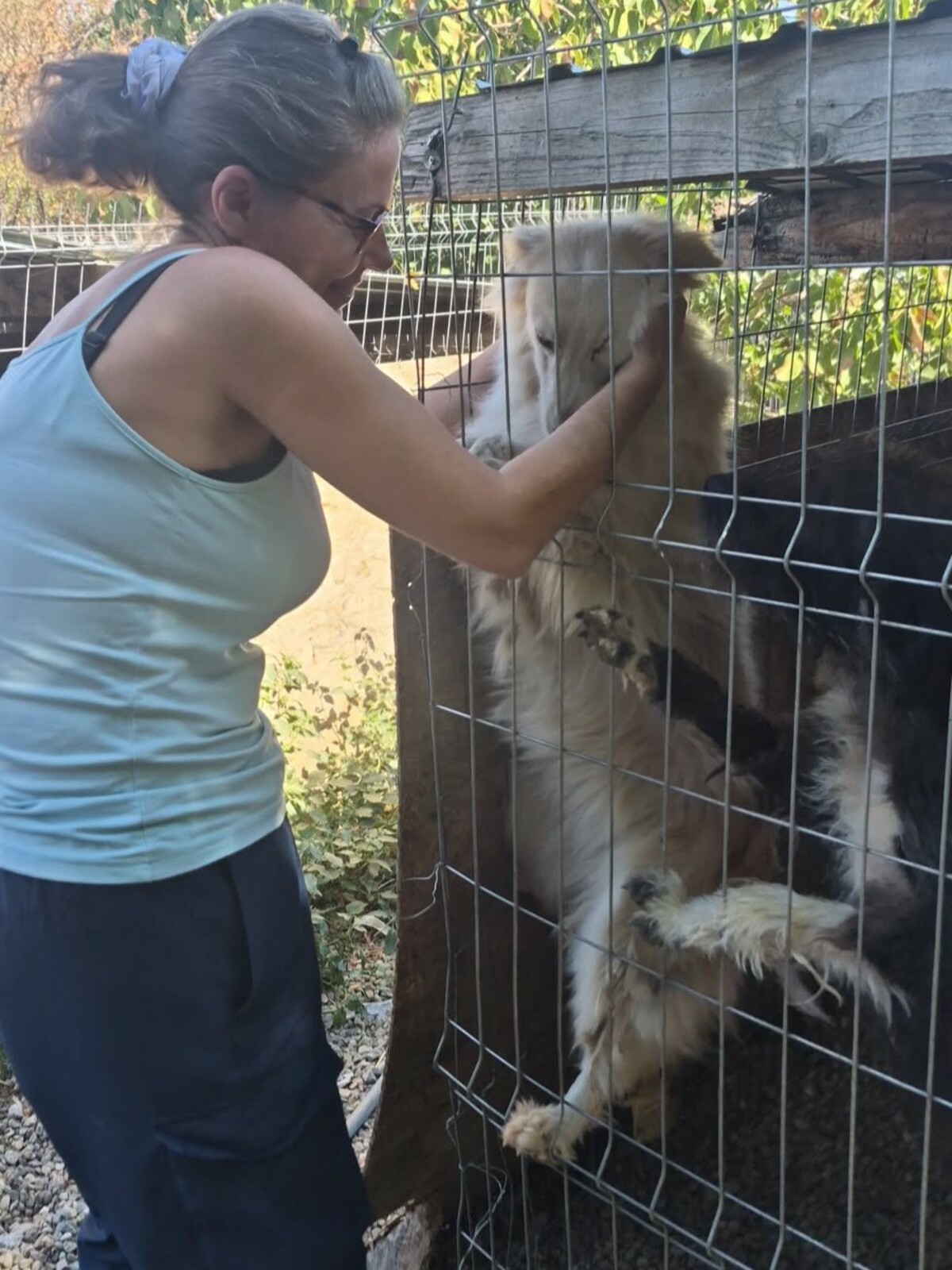 Adoption Alba