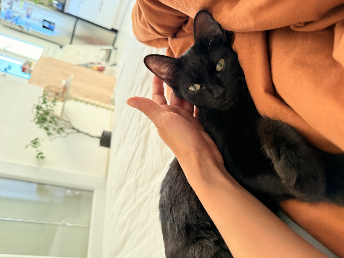 Adoption Tiana