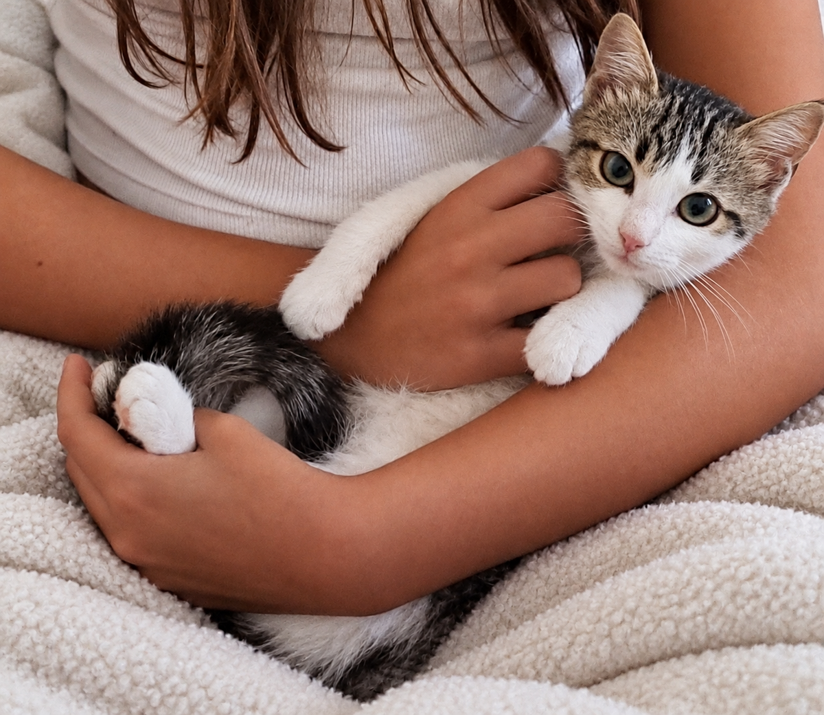 Adoption Balisto