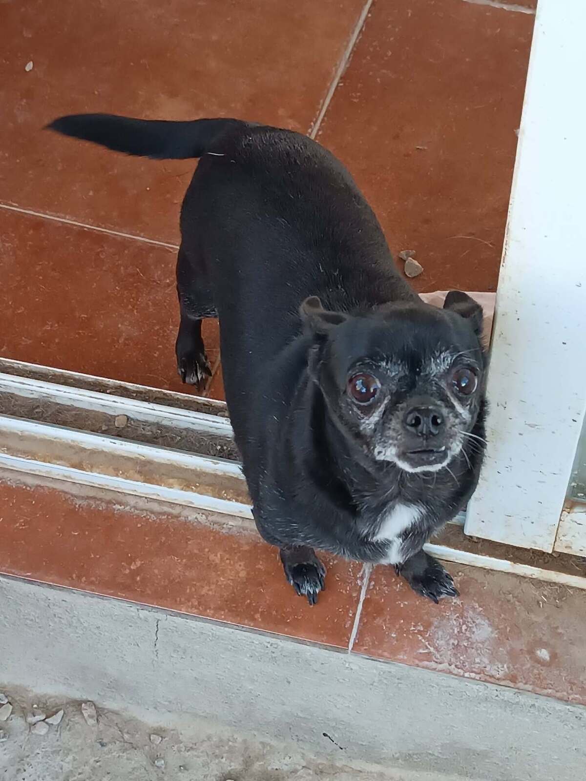 Adoption Valeria