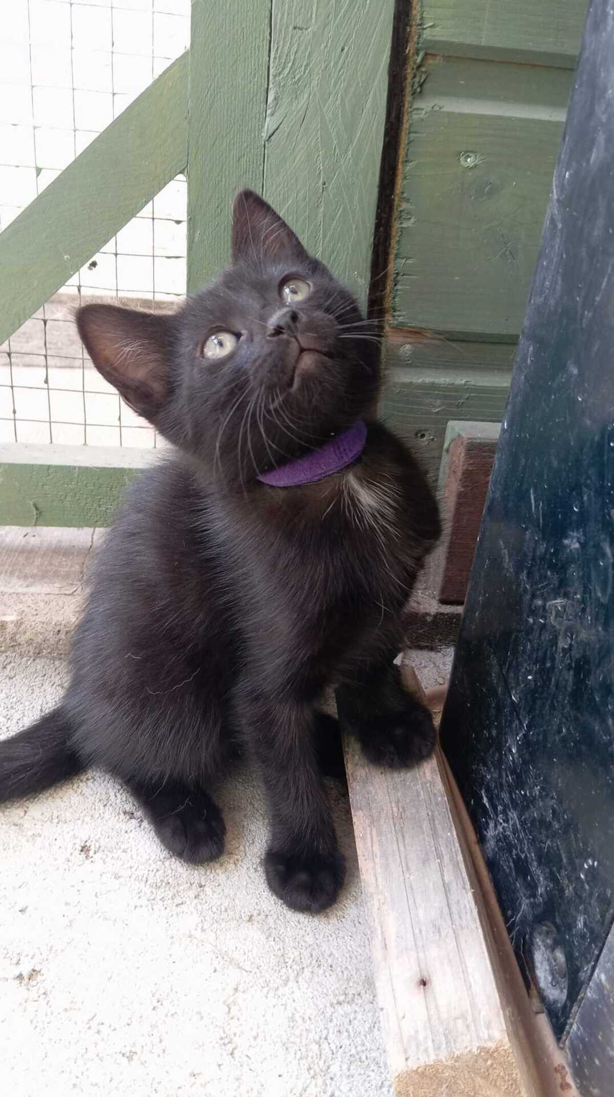 Adoption BABETH