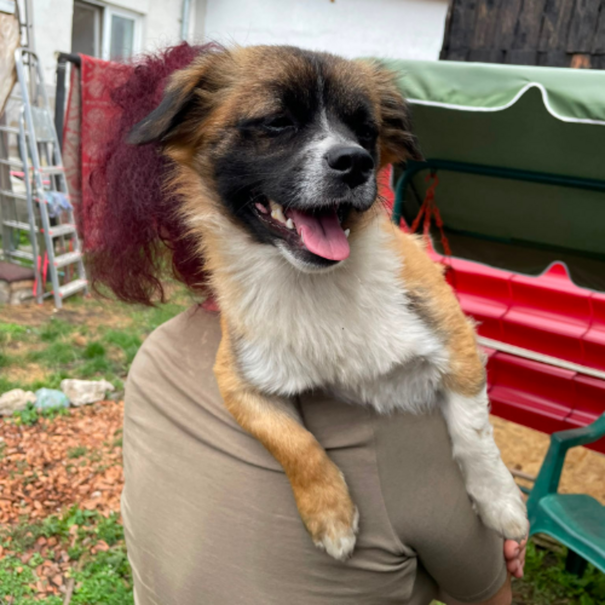 Adoption PEKI