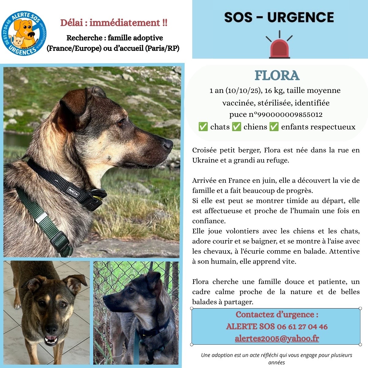 Adoption Flora