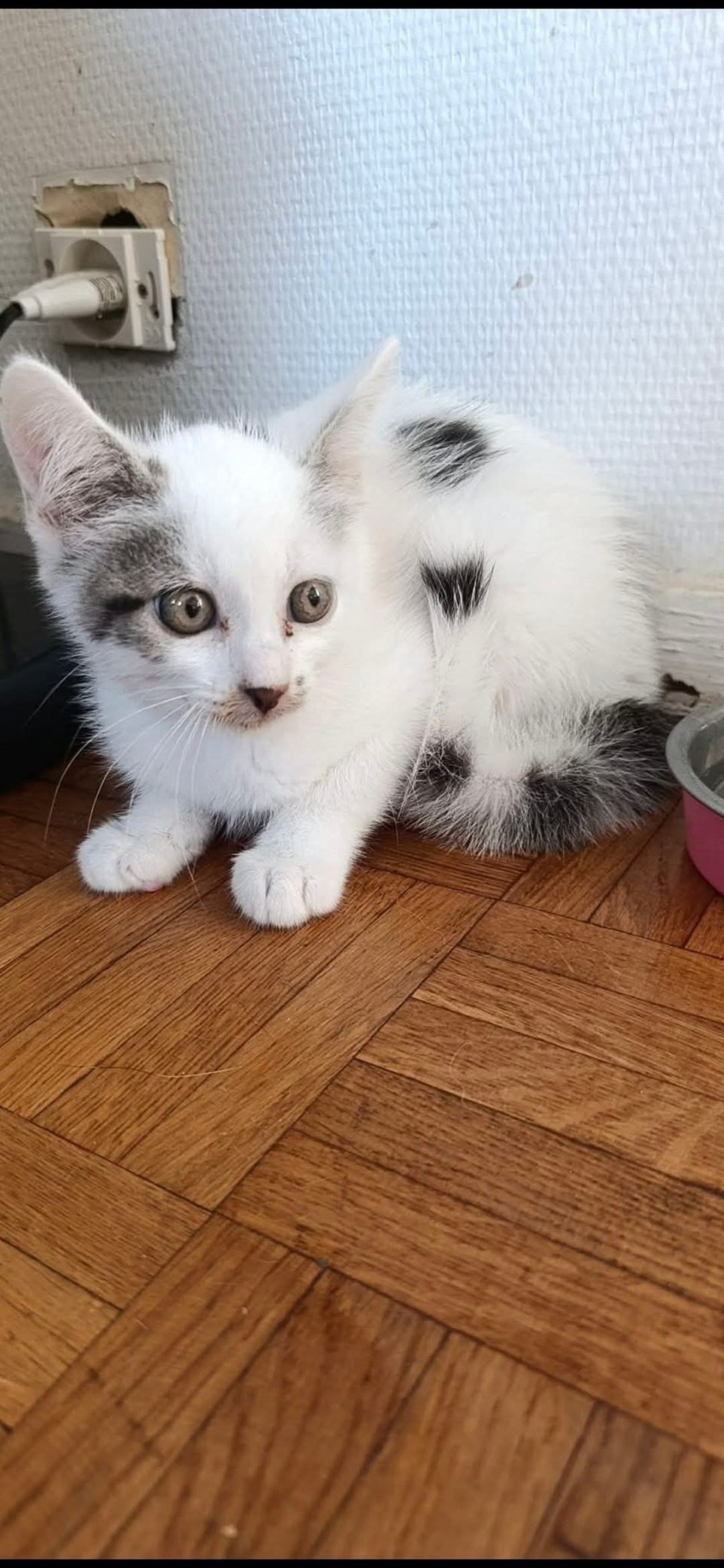 Adoption Nuage