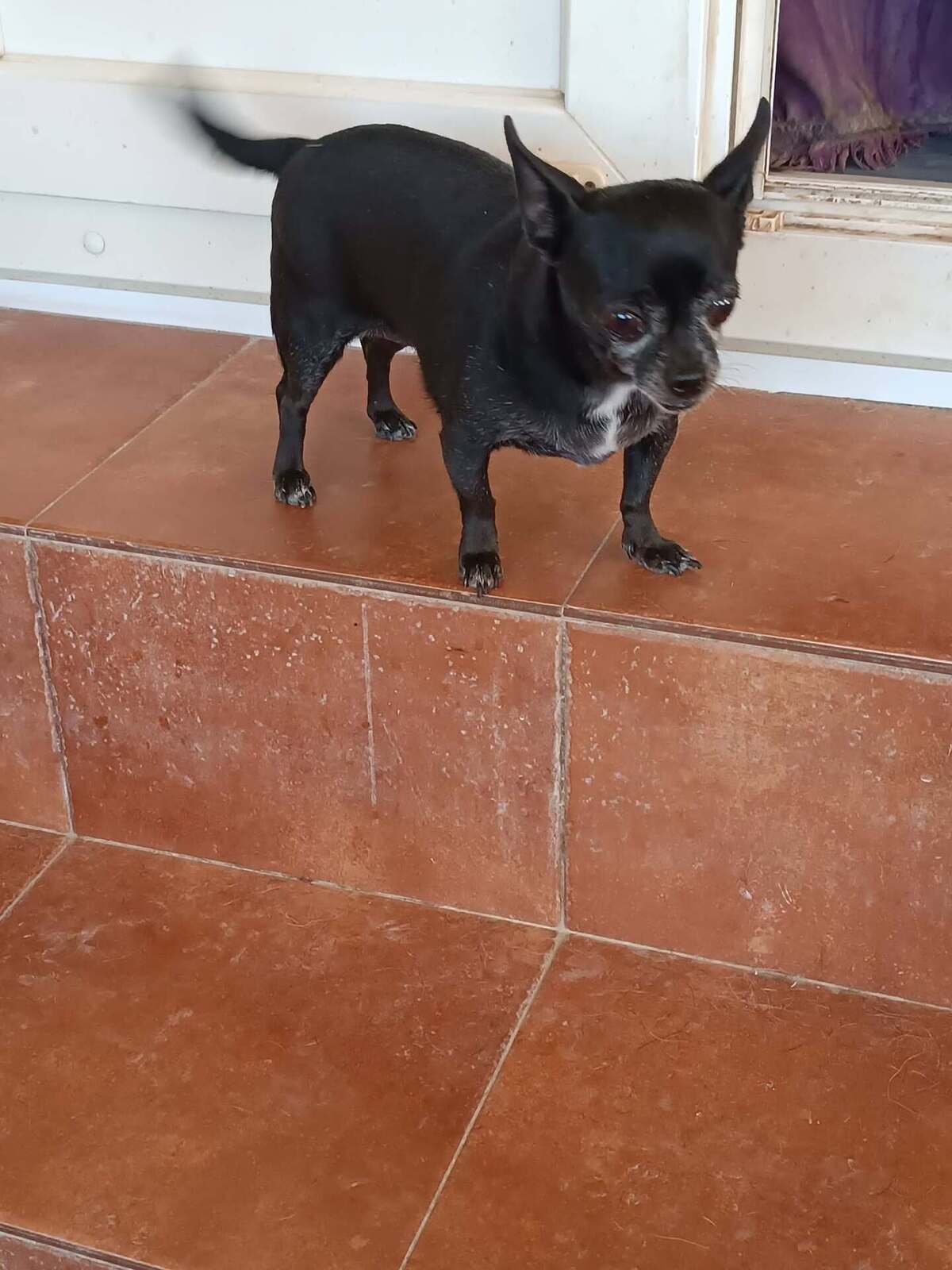 Adoption Valeria