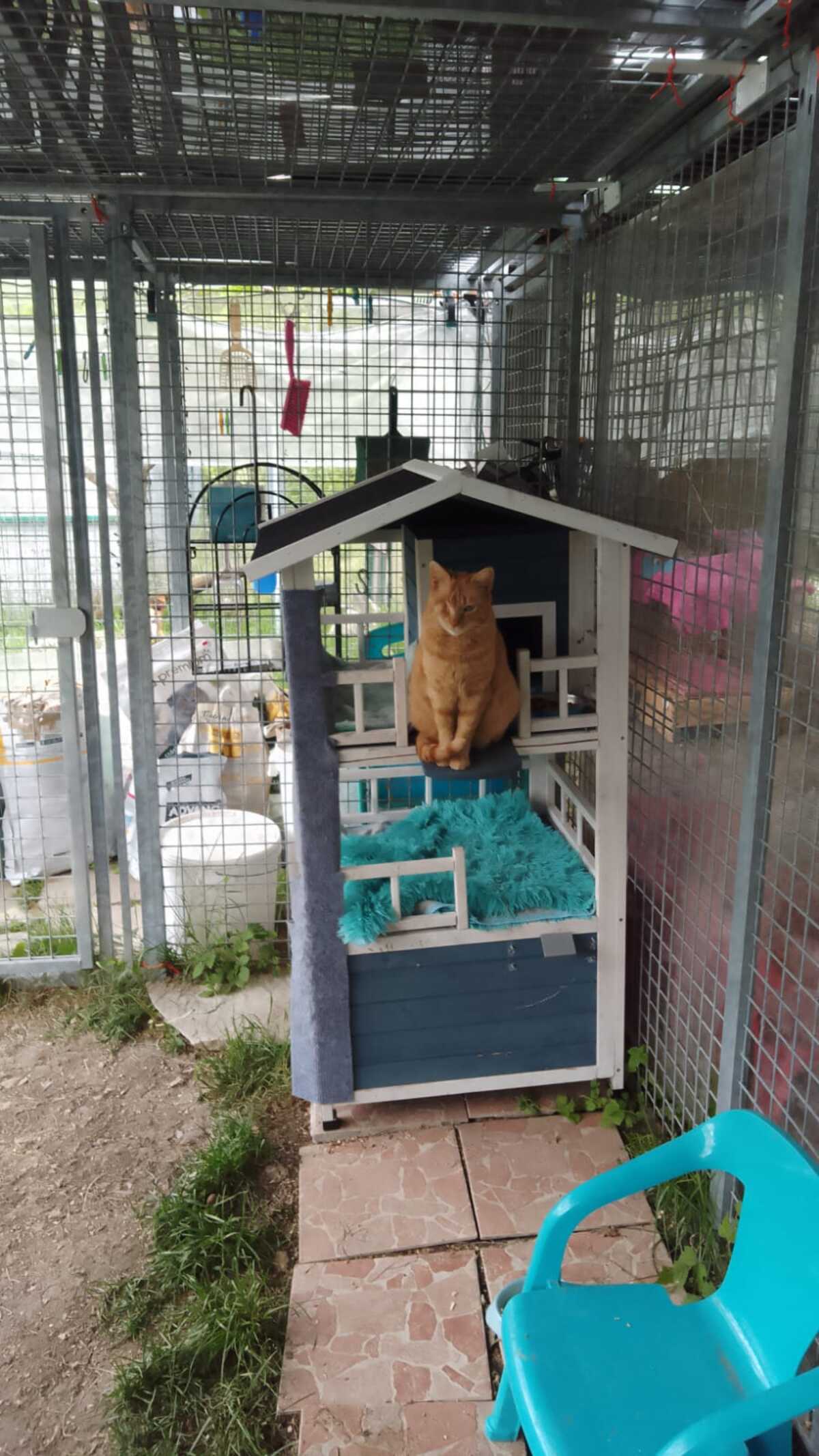 Adoption LILAS