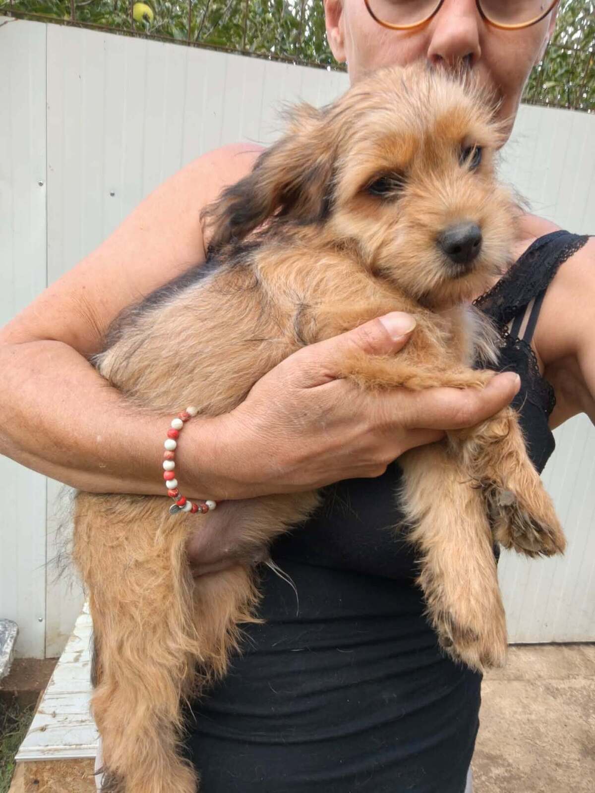 Adoption Kaiyo