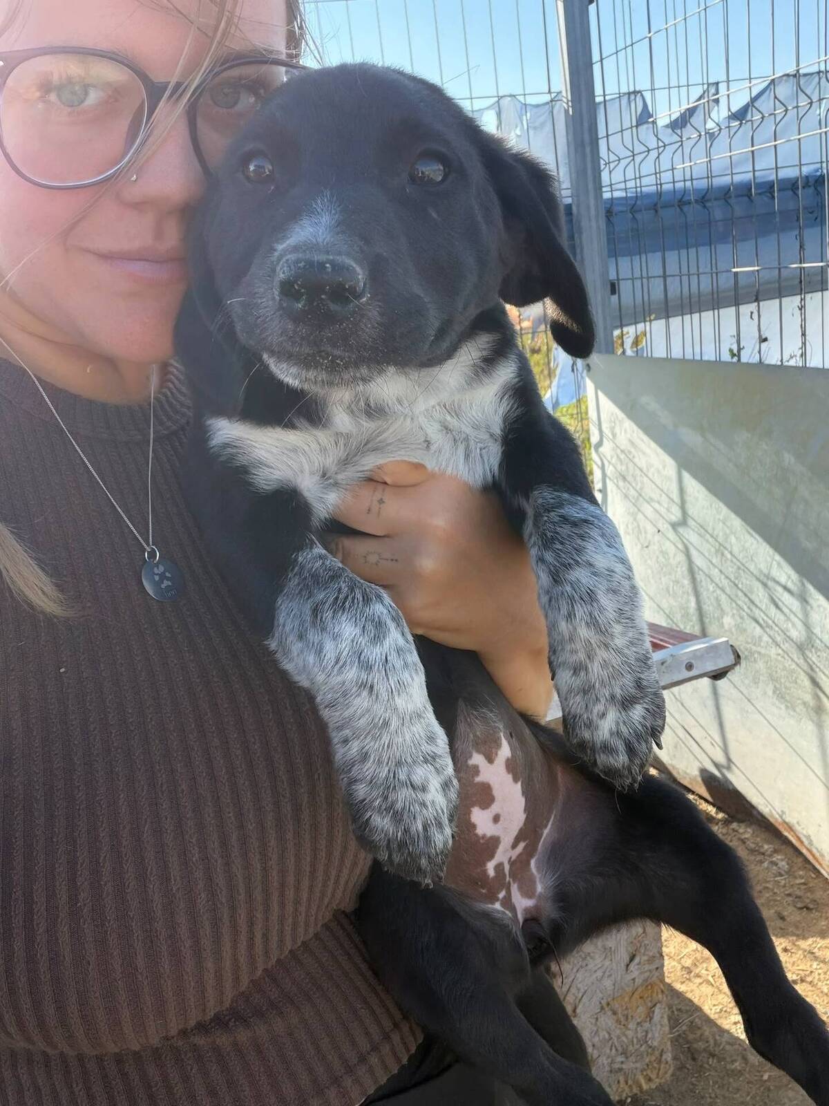 Adoption Honey
