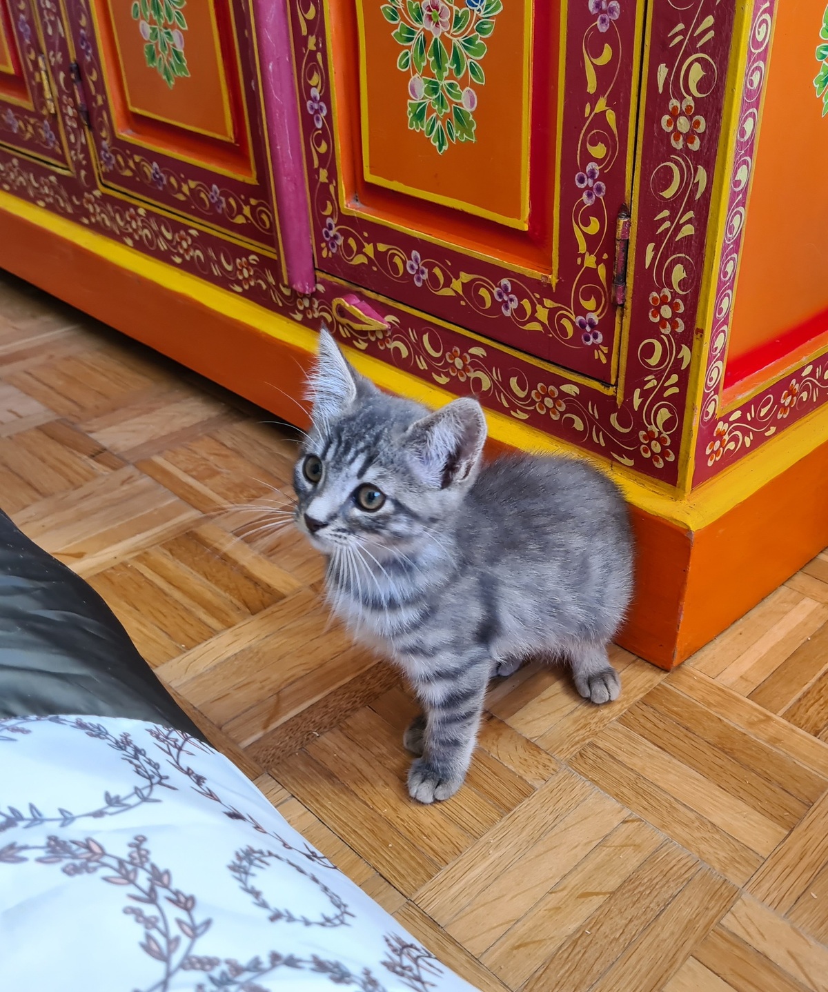 Adoption Mory