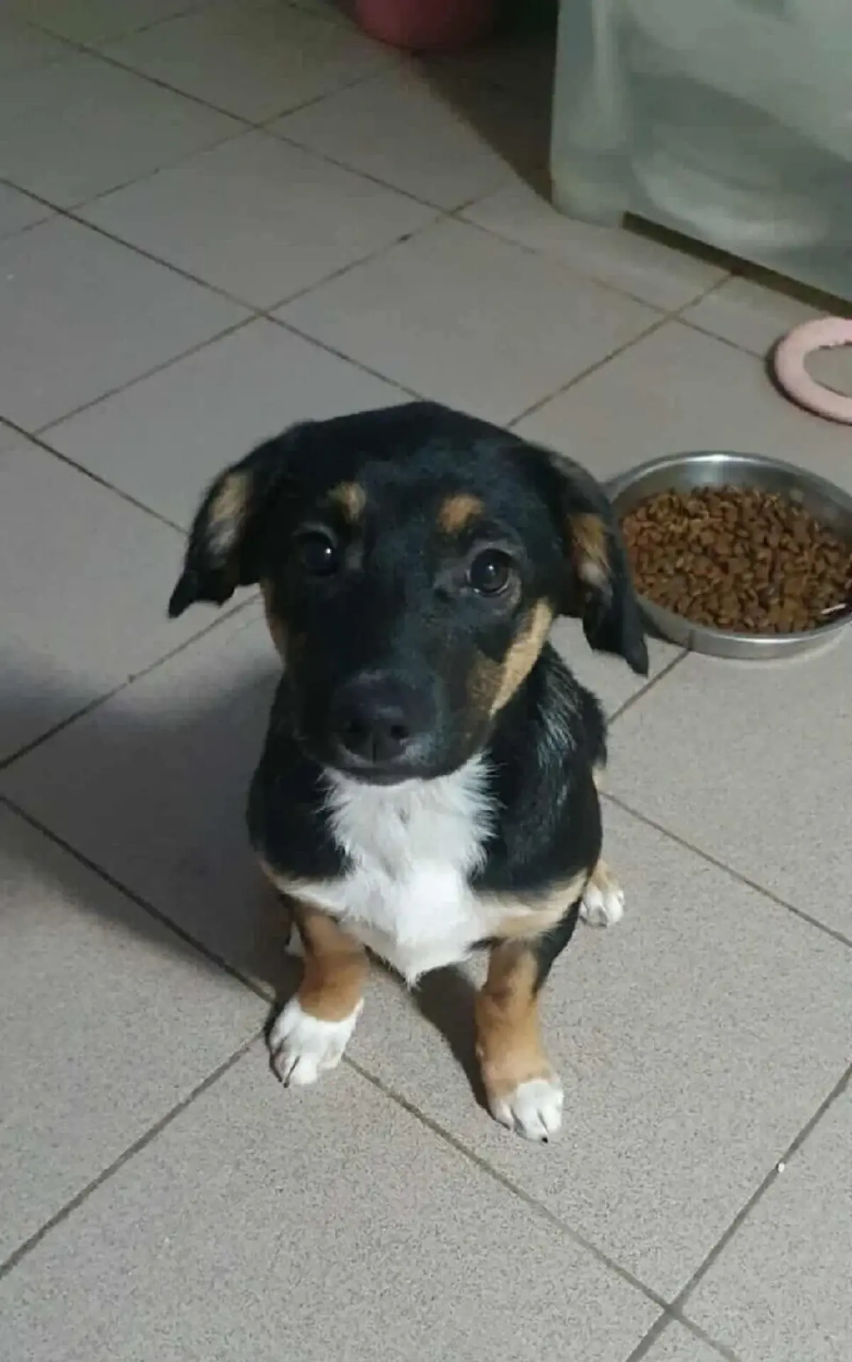 Adoption Hannah