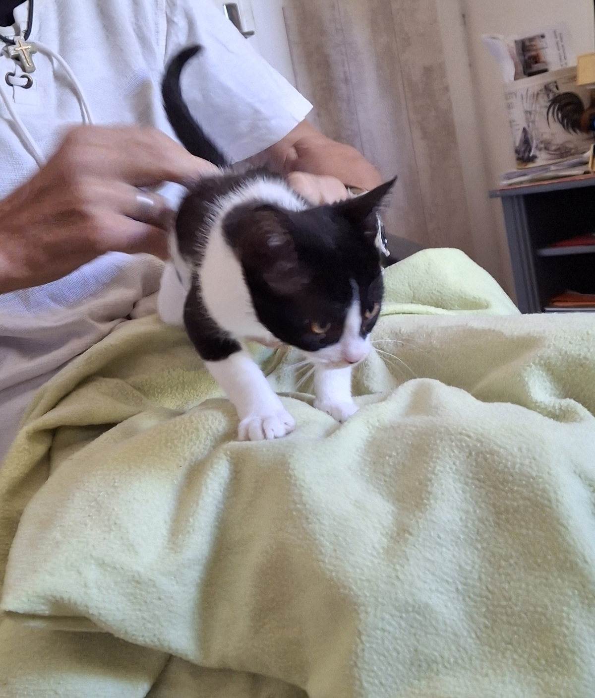 Adoption Samie