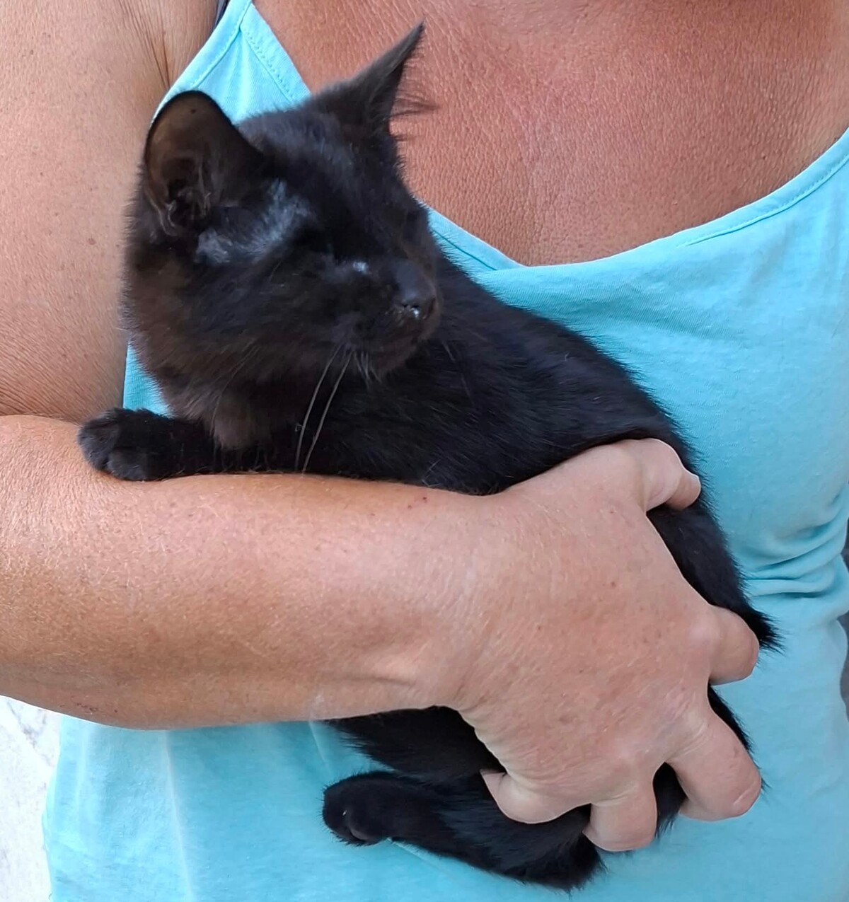 Adoption Gilbert